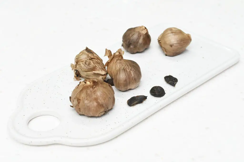 An image showcasing a spread of various dishes featuring black garlic as a central ingredient. From sauces to main courses, the dishes are creatively garnished with minced black garlic, illustrating its versatility.